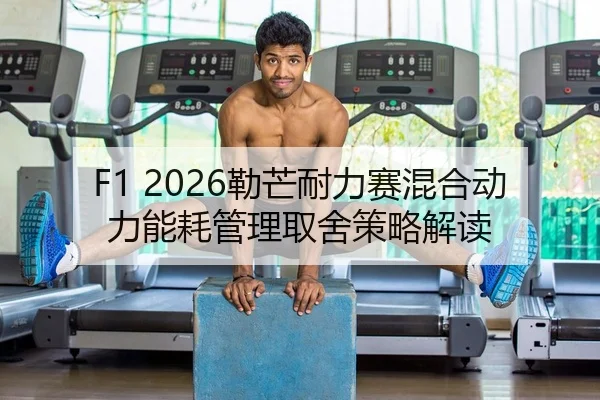 lei-mang-nai-li-sai-hun-he-dong-li-neng-hao-guan-li-qu-she-ce-lve-jie-du-2-916.jpg