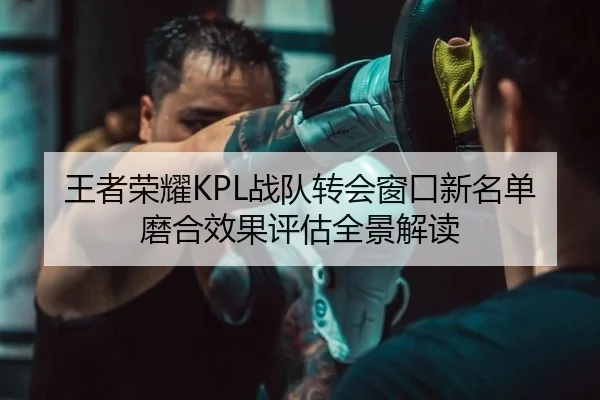 王者荣耀KPL战队转会窗口新名单磨合效果评估全景解读