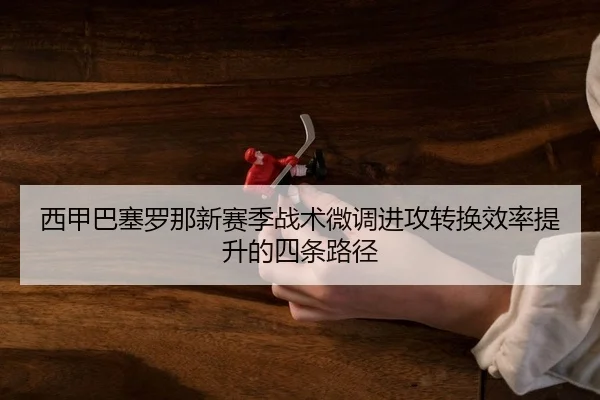 xi-jia-ba-sai-luo-na-xin-sai-ji-zhan-shu-wei-diao-jin-gong-zhuan-huan-xiao-lv-ti-sheng-de-si-tiao-lu-jing-2-804.jpg